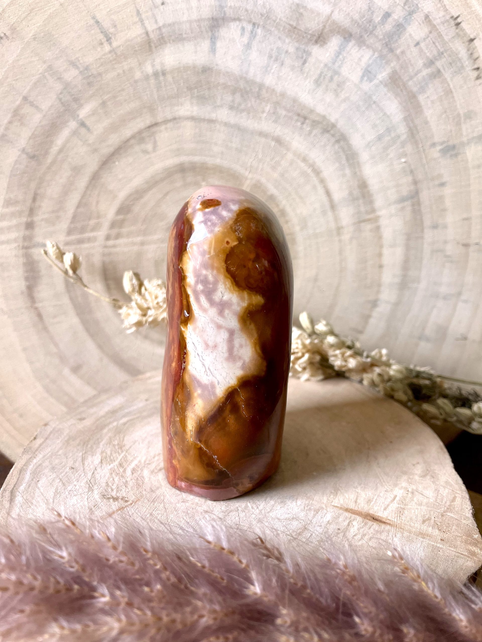 Jaspe Polychrome de Madagascar (N°1) – Image 3