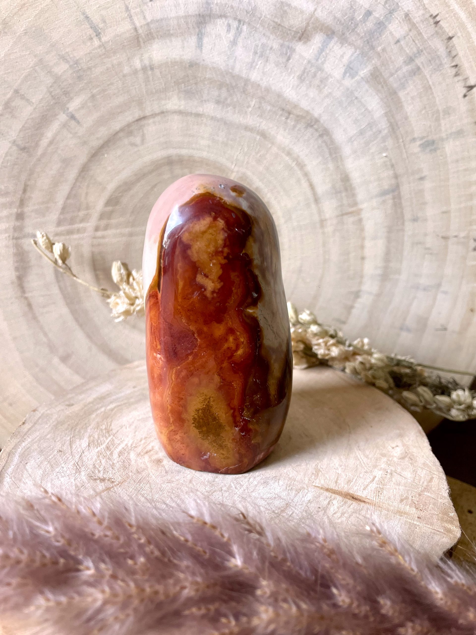 Jaspe Polychrome de Madagascar (N°1) – Image 4