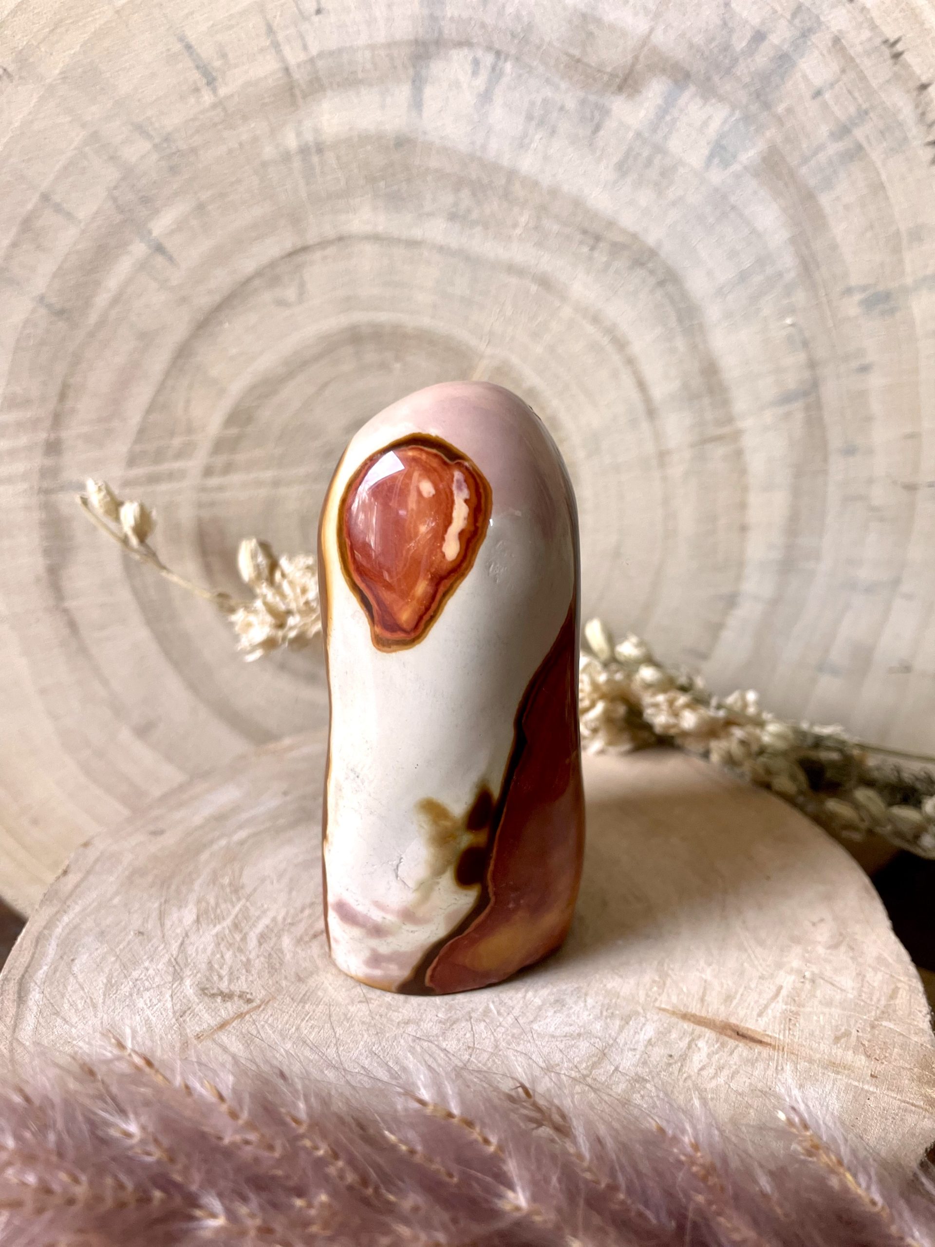 Jaspe Polychrome de Madagascar (N°1)