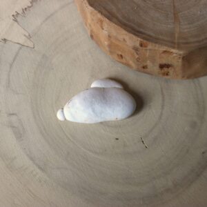 Pierre des fées du Maroc (N°15)