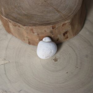 Pierre des fées du Maroc (N°20)