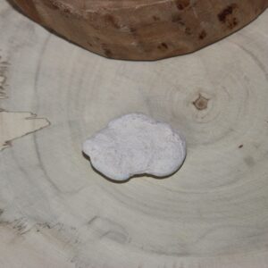 Pierre des fées du Maroc (N°22)