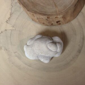 Pierre des fées du Maroc (N°24)