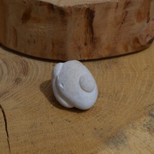 Pierre des fées du Maroc (N°18)