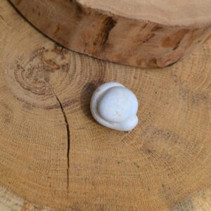 Pierre des fées du Maroc (N°8)