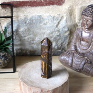 Oeil de tigre Pointe prisme (N°1)