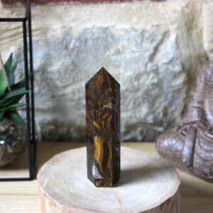 Oeil de tigre Pointe prisme (N°1)